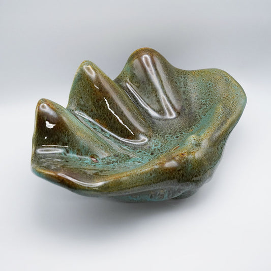 Concha Turquesa, Skål