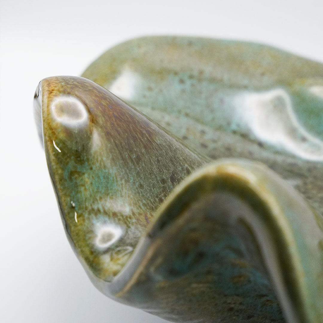 Concha Turquesa, Skål