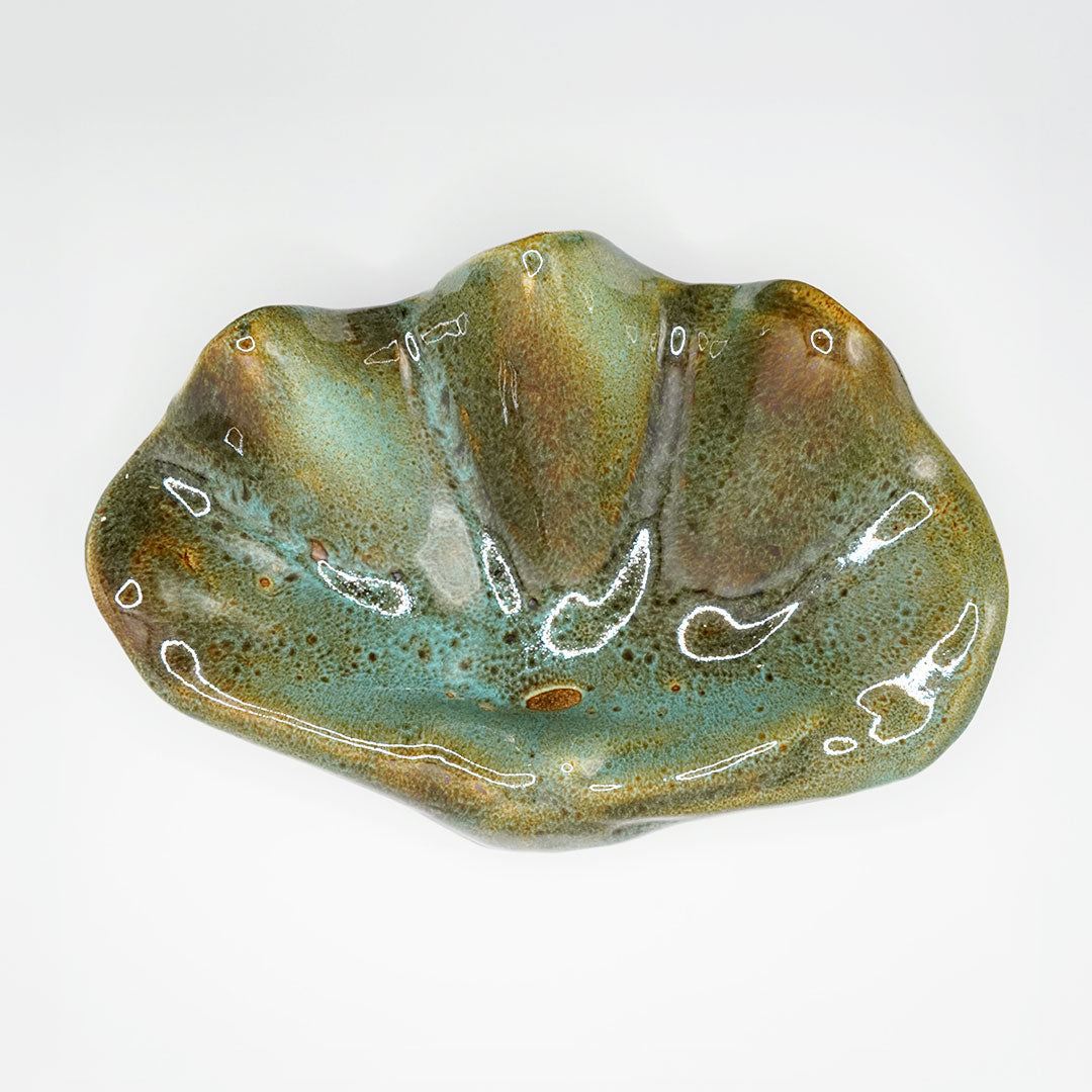 Concha Turquesa, Skål