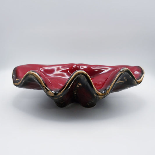 Concha Vermelha, Skål